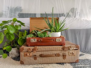Vintage woonaccessoires: enkele leuke voorbeelden