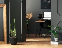 Woonkamer trends 2019, Cactussen terug in de Nederlandse woonkamers!
