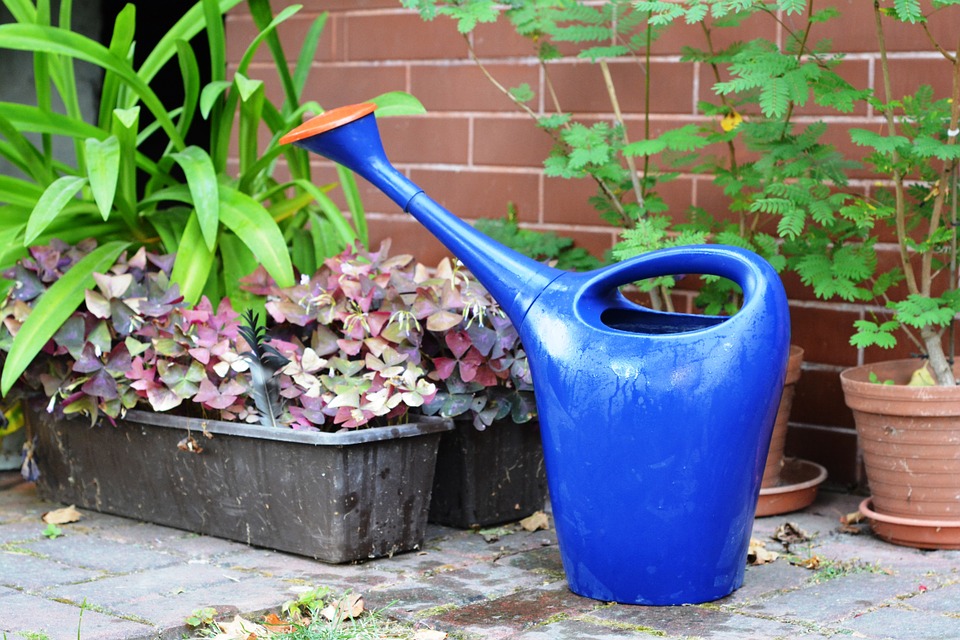 hoelang kunnen planten zonder water