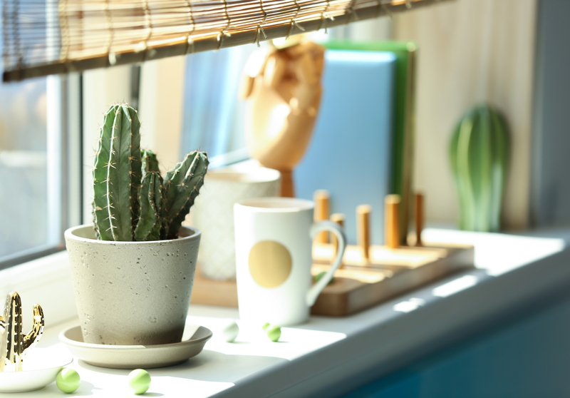 Een cactus verzorgen