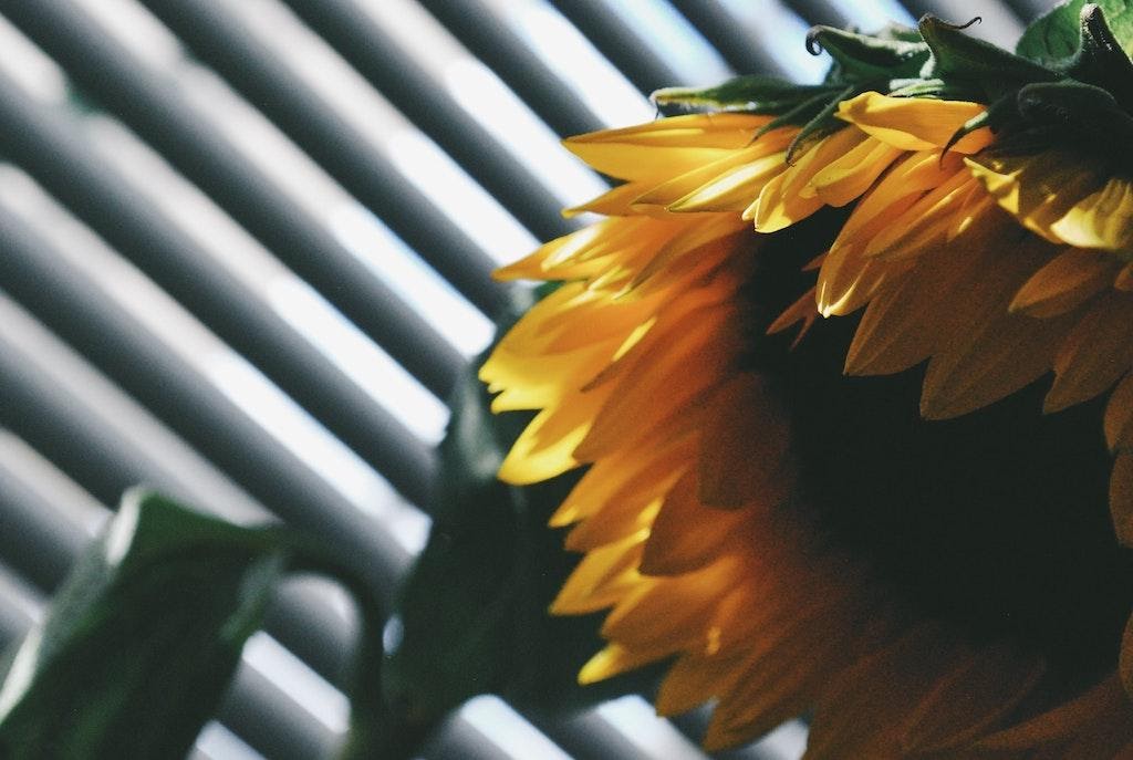 woning zomerklaar maken