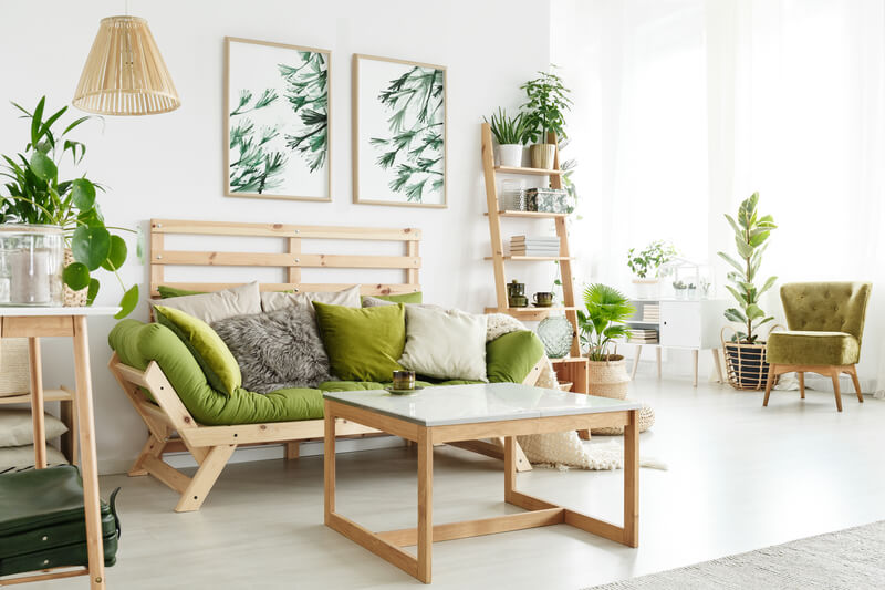 kamerplanten in jouw interieur