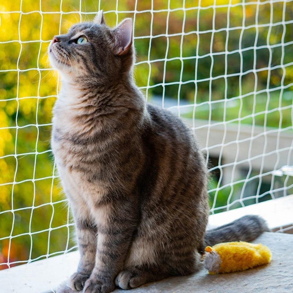 Kattennet Premium - 8 x 3M