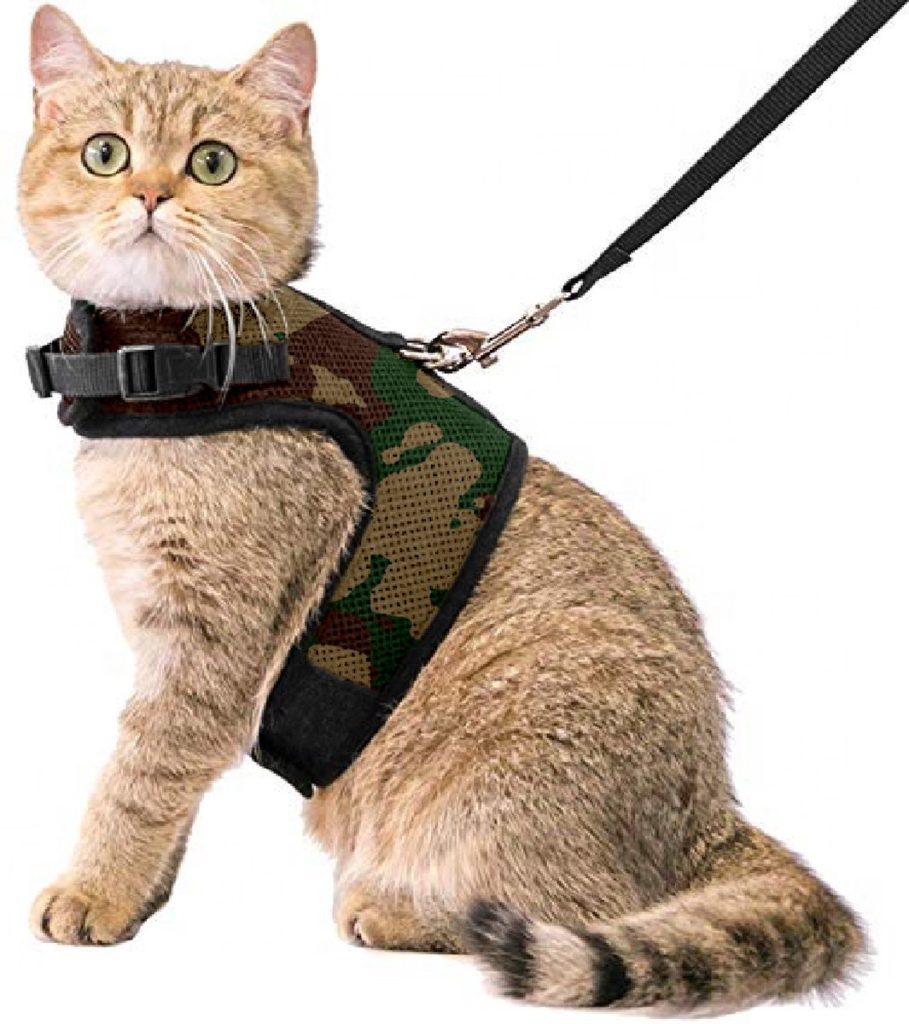 Kattentuigje met Leiband Riem