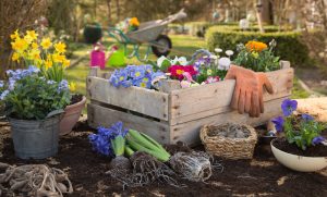 Hoe maak je je tuin in orde voor de zomer?