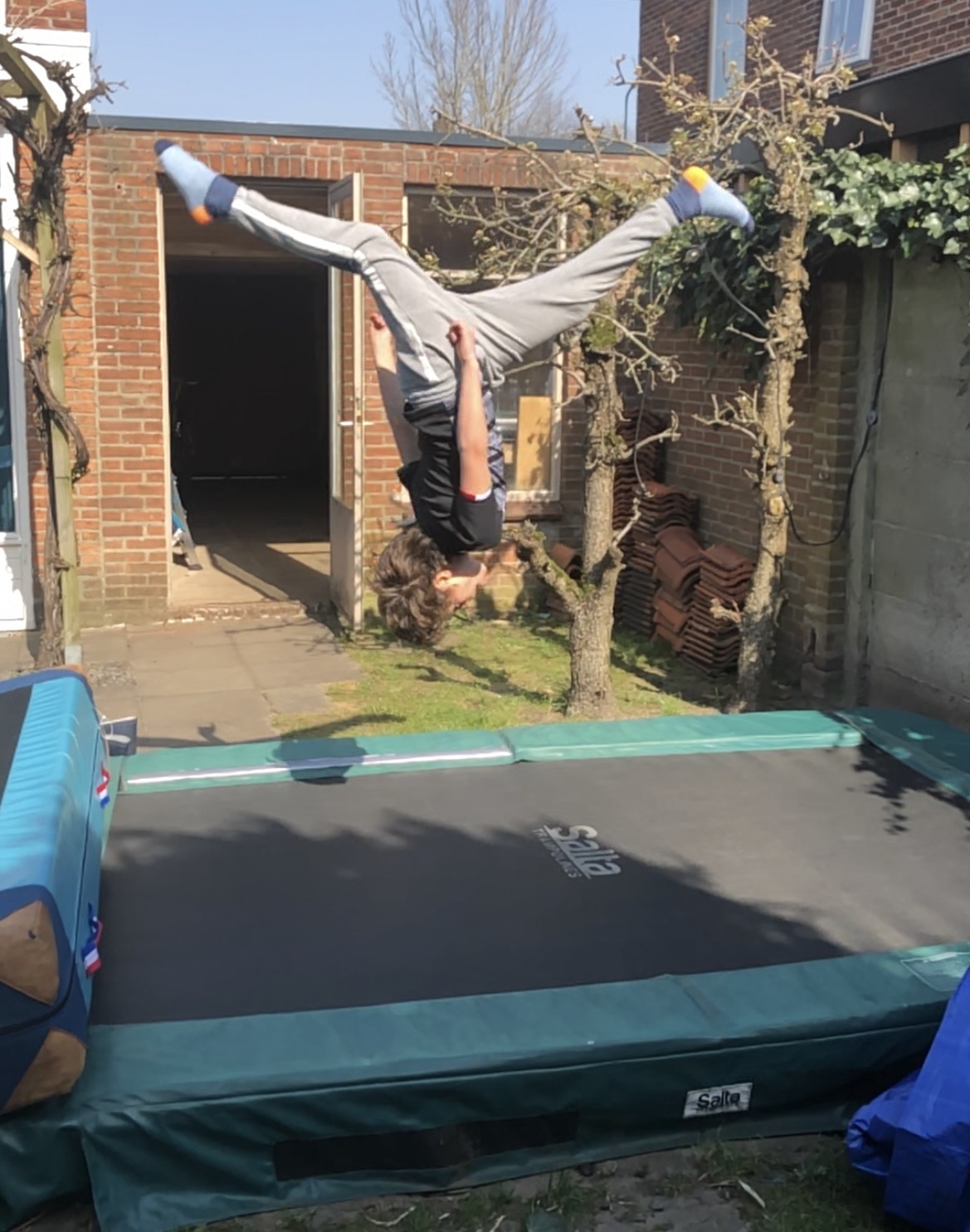 salta trampoline